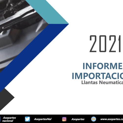 Informe importación Llantas Neumáticas