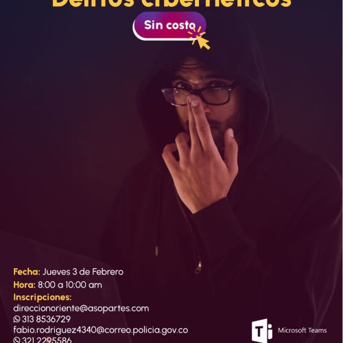 Conferencia virtual delitos informáticos