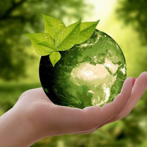Baterías Mac lidera la revolución verde en Colombia con innovadoras iniciativas sostenibles para proteger el medio ambiente